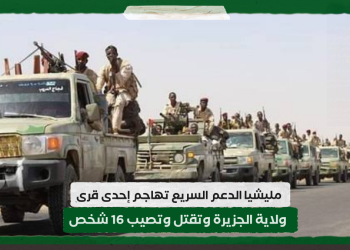 مليشيا الدعم السريع تهاجم إحدى قرى ولاية الجزيرة وتقتل وتصيب 16 شخص