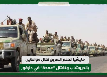 مليشيا الدعم السريع تقتل مواطنين بالدروشاب وتغتال “عمدة” في دارفور