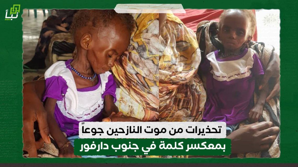 تحذيرات من موت النازحين جوعاً بمعكسر كلمة في جنوب دارفور 10 تحذيرات من موت النازحين جوعاً بمعكسر كلمة في جنوب دارفور