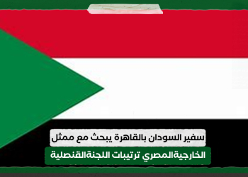 سفير السودان بالقاهرة يبحث مع ممثل الخارجية المصرية ترتيبات اللجنة القنصلية