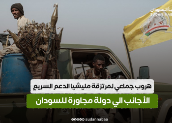 هروب جماعي لمرتزقة مليشيا الدعم السريع الأجانب الي دولة مجاورة للسودان