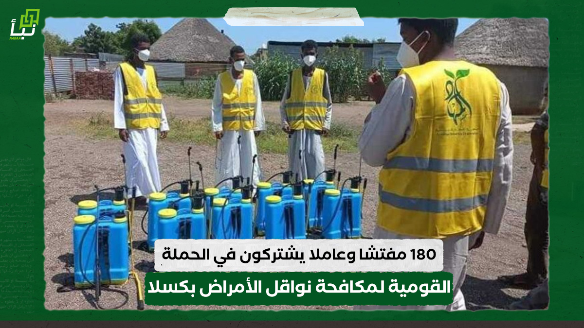 180 مفتشا وعاملا يشتركون في الحملة القومية لمكافحة نواقل الأمراض والإصحاح البيئي بكسلا 10 180 مفتشا وعاملا يشتركون في الحملة القومية لمكافحة نواقل الأمراض والإصحاح البيئي بكسلا