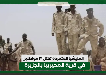 المليشيا المتمردة تقتل 3 مواطنين في قرية المحيريبا بالجزيرة