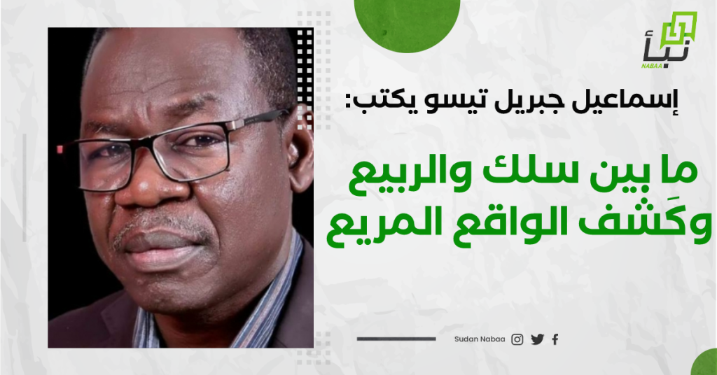 إسماعيل جبريل تيسو يكتب: ما بين سلك والربيع، وكَشْف الواقع المريع 1 IMG 20240307 121925