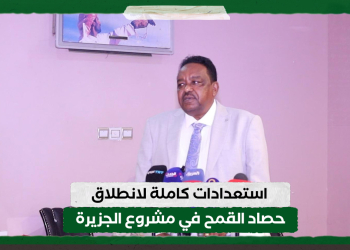  استعدادات كاملة لانطلاق حصاد القمح في مشروع الجزيرة