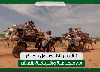 تقرير للأناضول يحذر من مجاعة وشيكة بالفاشر