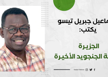 إسماعيل جبريل تيسو يكتب: الجزيـرة، محطة الجنجويد الأخيرة