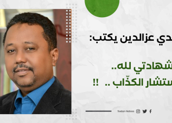 الهندي عزالدين يكتب : شهادتي لله.. المستشار الكذّاب ..  ‏ !!