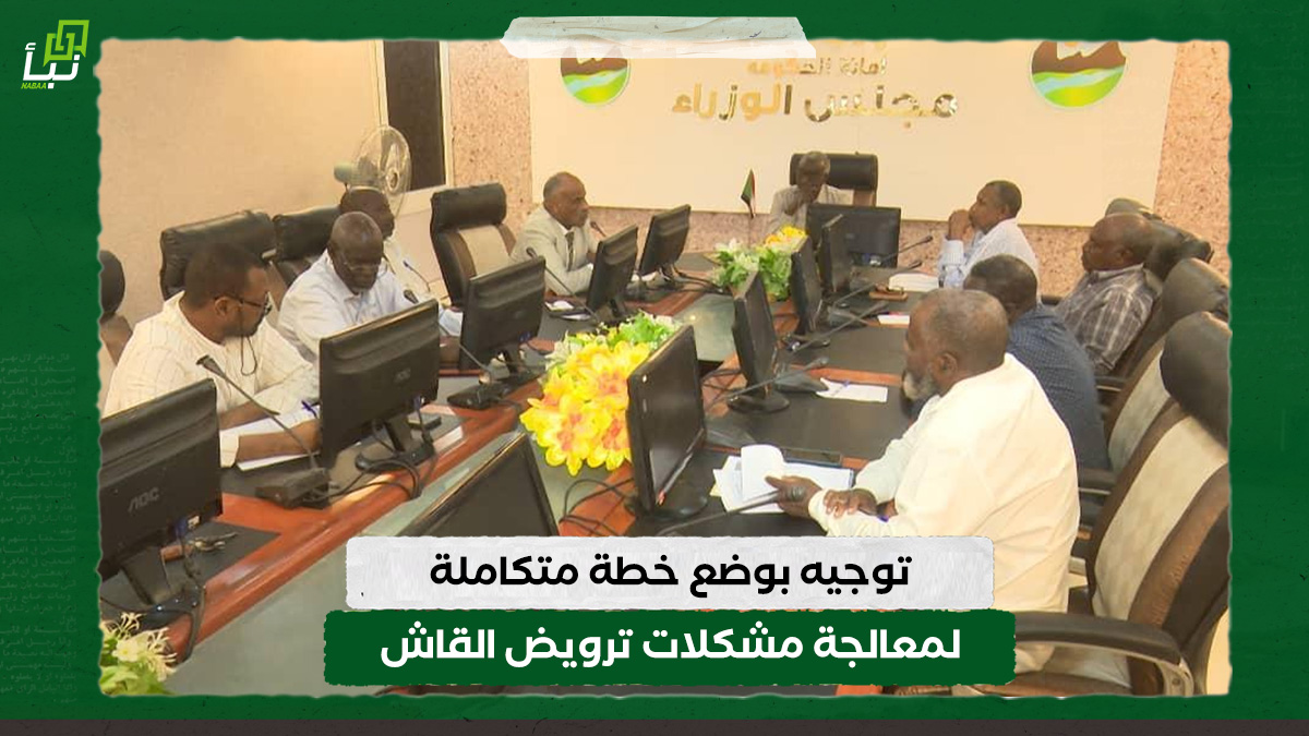 توجيه بوضع خطة متكاملة لمعالجة مشكلات ترويض القاش 10 توجيه بوضع خطة متكاملة لمعالجة مشكلات ترويض القاش