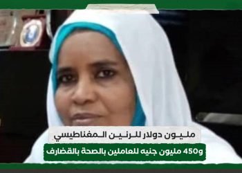 مليون دولار للرنين المغناطيسي و450 مليون جنيه للعاملين بالصحة بالقضارف