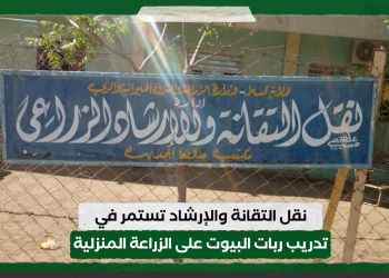 نقل التقانة والإرشاد تستمر في تدريب ربات البيوت على الزراعة المنزلية