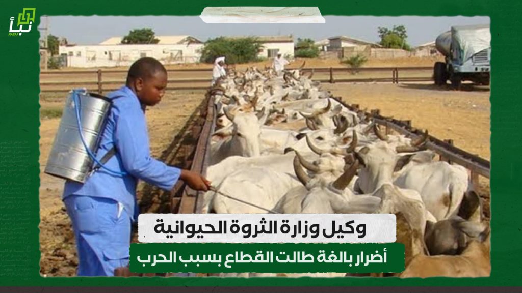 وكيل وزارة الثروة الحيوانية : أضرار بالغة طالت القطاع بسبب الحرب 1 IMG 20240414 091140