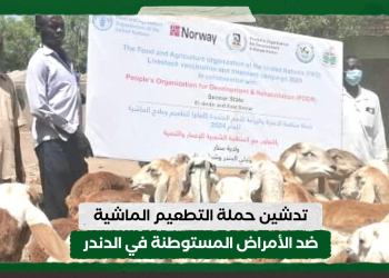 تدشين حملة التطعيم الماشية ضد الأمراض المستوطنة في الدندر
