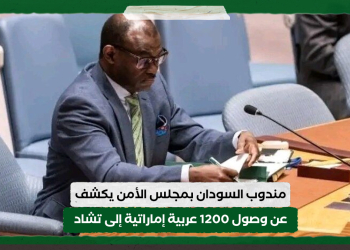 مندوب السودان بمجلس الأمن يكشف عن وصول 1200 عربية إماراتية إلى تشاد
