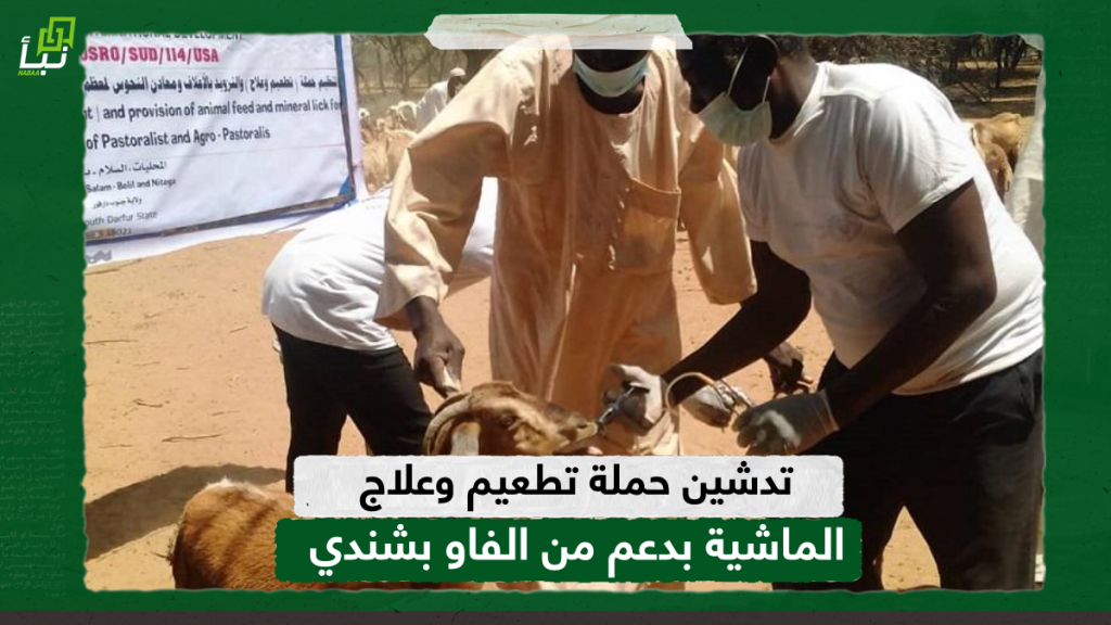 تدشين حملة تطعيم وعلاج الماشية بدعم من الفاو بشندي 1 IMG 20240518 215250
