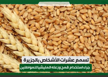 تسمم عشرات الأشخاص بالجزيرة جراء استخدام قمح وزعته المليشيا للمواطنين