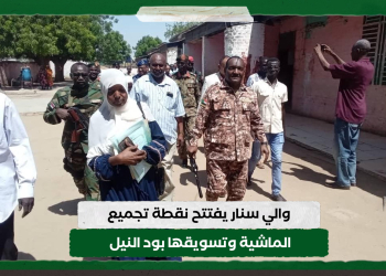 والي سنار يفتتح نقطة تجميع الماشية وتسويقها بود النيل 