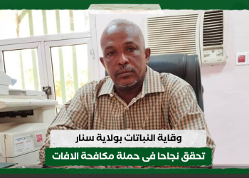 وقاية النباتات بولاية سنار تحقق نجاحا فى حملة مكافحة الافات
