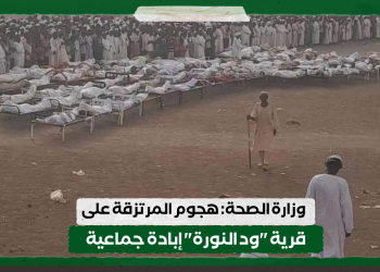 وزارة الصحة: هجوم المرتزقة على قرية “ود النورة” إبادة جماعية