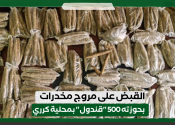 القبض على مروج مخدرات بحوزته 500 “قندول” بمحلية كرري