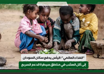 “الغذاء العالمي” : اليأس يدفع سكان السودان إلى أكل العشب في مناطق سيطرة الدعم السريع