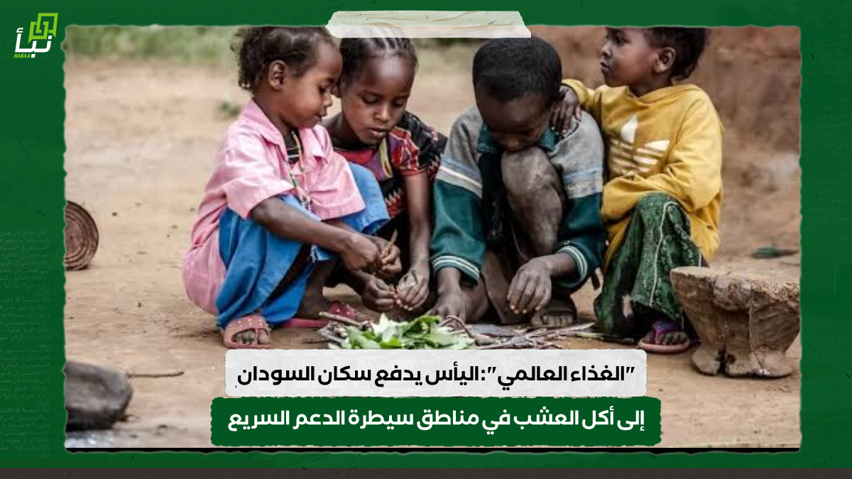 "الغذاء العالمي" : اليأس يدفع سكان السودان إلى أكل العشب في مناطق سيطرة الدعم السريع 10 “الغذاء العالمي” : اليأس يدفع سكان السودان إلى أكل العشب في مناطق سيطرة الدعم السريع