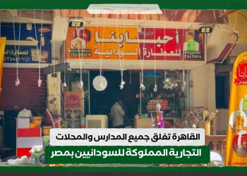 القاهرة تغلق جميع المدارس والمحلات التجارية المملوكة للسودانيين بمصر