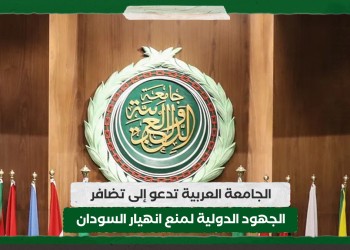 الجامعة العربية تدعو إلى تضافر الجهود الدولية لمنع انهيار السودان