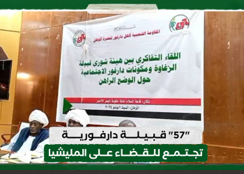 "57" قبيلة دارفورية تجتمع للقضاء على المليشيا