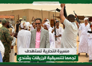 مسيرة انتحارية تستهدف تجمعا لتنسيقية الرزيقات بشندي