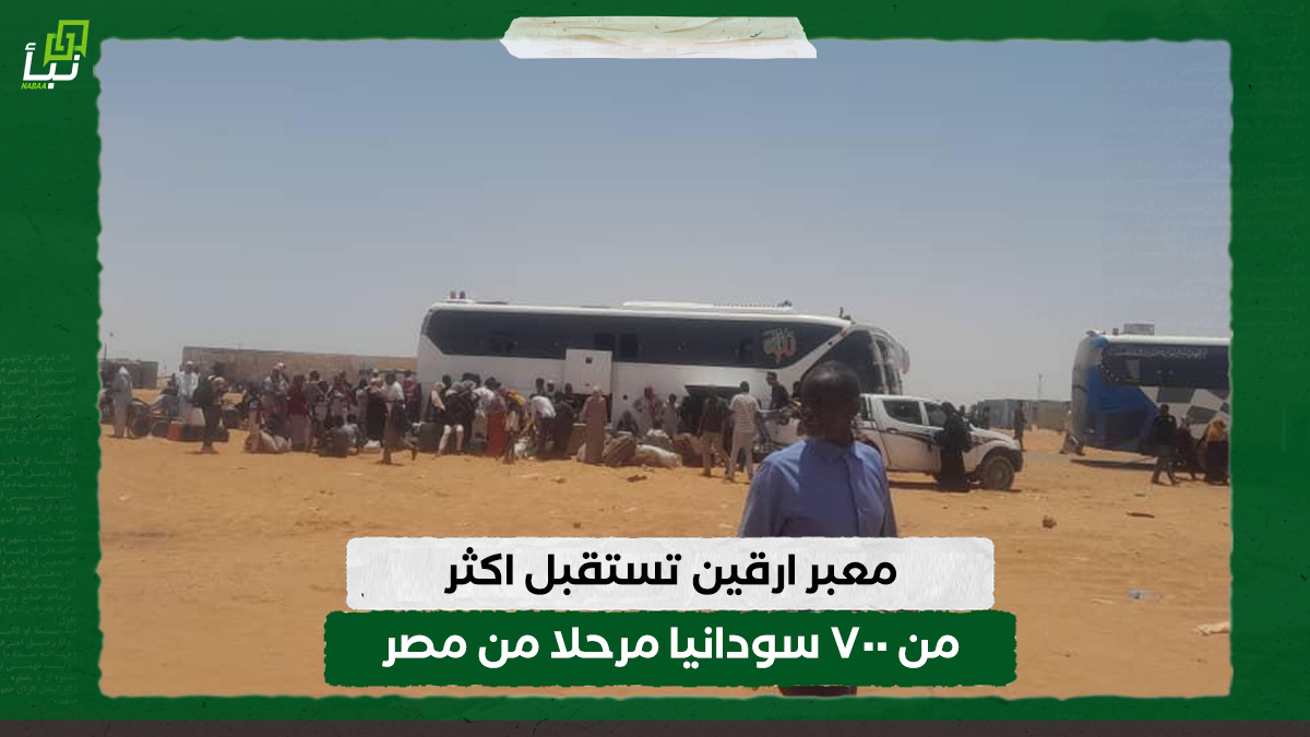 معبر ارقين تستقبل اكثر من ٧٠٠ سودانيا مرحلا من مصر 10 معبر ارقين تستقبل اكثر من ٧٠٠ سودانيا مرحلا من مصر
