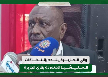 والي الجزيرة يندد بإنتهاكات المليشيا المتمردة بقرى الجزيرة