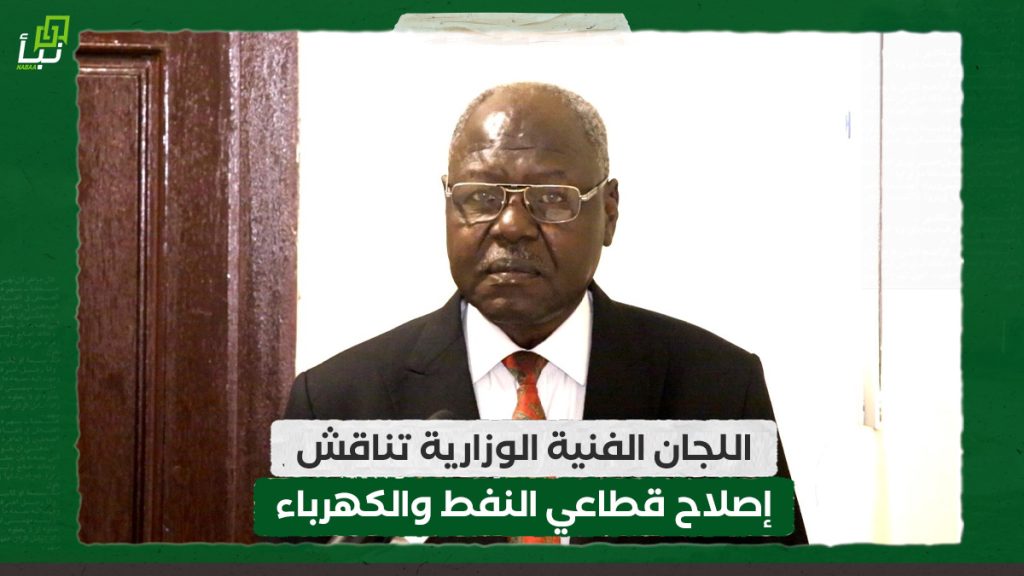 اللجان الفنية الوزارية تناقش إصلاح قطاعي النفط والكهرباء 1 اللجان الفنية الوزارية تناقش إصلاح قطاعي النفط والكهرباء