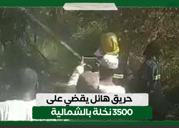 حريق هائل يقضي على 3500 نخلة بالشمالية