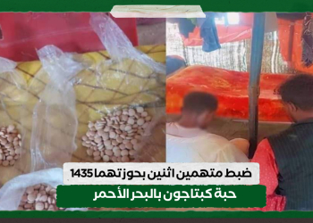 ضبط متهمين اثنين بحوزتهما 1435 حبة كبتاجون بالبحر الأحمر
