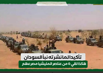 تأكيدا لما نشرته نبأ السودان.. هكذا لقي ٥ من عناصر المليشيا مصرعهم