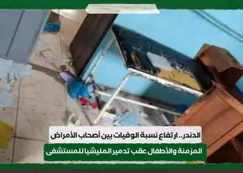 الدندر.. ارتفاع نسبة الوفيات بين أصحاب الأمراض المزمنة والأطفال عقب تدمير المليشيا للمستشفى