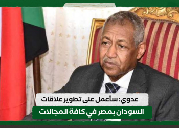 عدوي: سأعمل على تطوير علاقات السودان بمصر في كافة المجالات