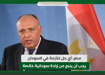 مصر: أي حل للأزمة في السودان يجب أن ينبع من إرادة سودانية خالصة
