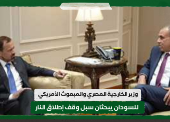 وزير الخارجية المصري والمبعوث الأمريكي للسودان يبحثان سبل وقف إطلاق النار