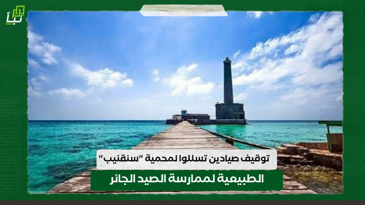 توقيف صيادين تسللوا لمحمية "سنقنيب" الطبيعية لممارسة الصيد الجائر 10 توقيف صيادين تسللوا لمحمية “سنقنيب” الطبيعية لممارسة الصيد الجائر