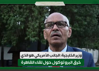 وزير الخارجية:  الجانب الأمريكي هو الذي خرق البروتوكول حول لقاء القاهرة