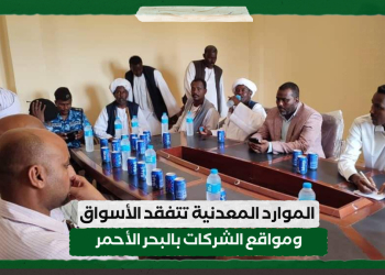 الموارد المعدنية تتفقد الأسواق ومواقع الشركات بالبحر الأحمر