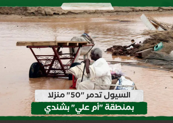 السيول تدمر "50" منزلا بمنطقة "أم علي" بشندي