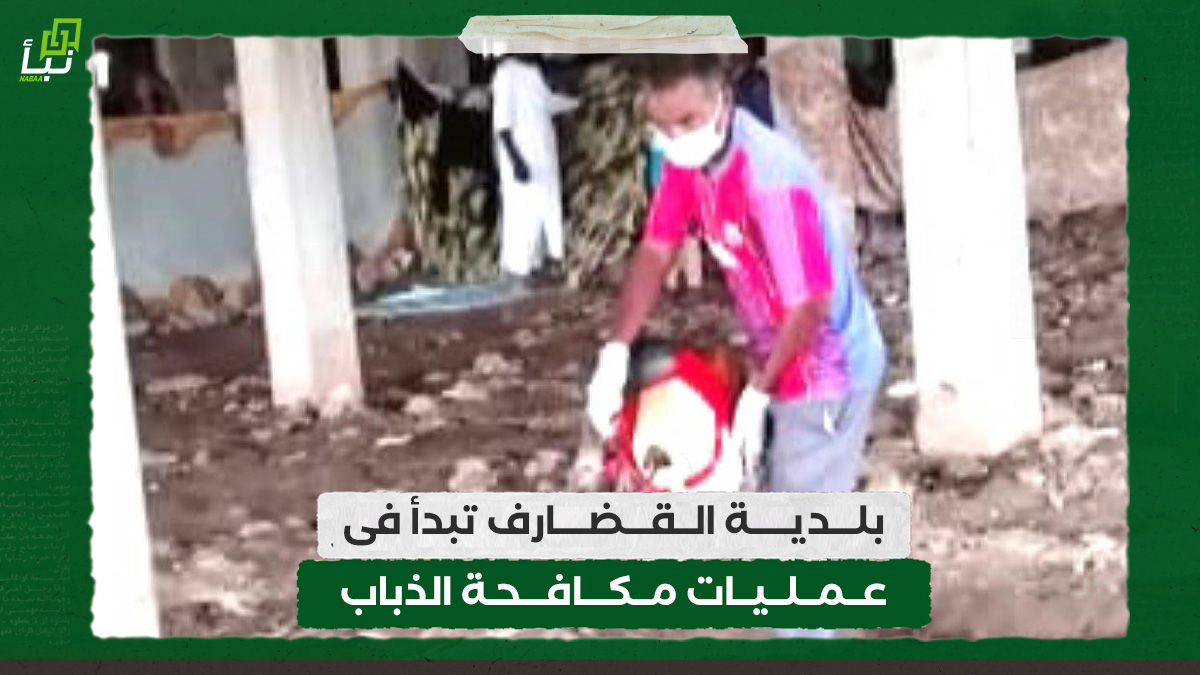 بلدية القضارف تبدأ فى عمليات مكافحة الذباب 10 بلدية القضارف تبدأ فى عمليات مكافحة الذباب