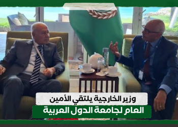 وزير الخارجية يلتقي الأمين العام لجامعة الدول العربية وعدد من وزراء الخارجية العرب