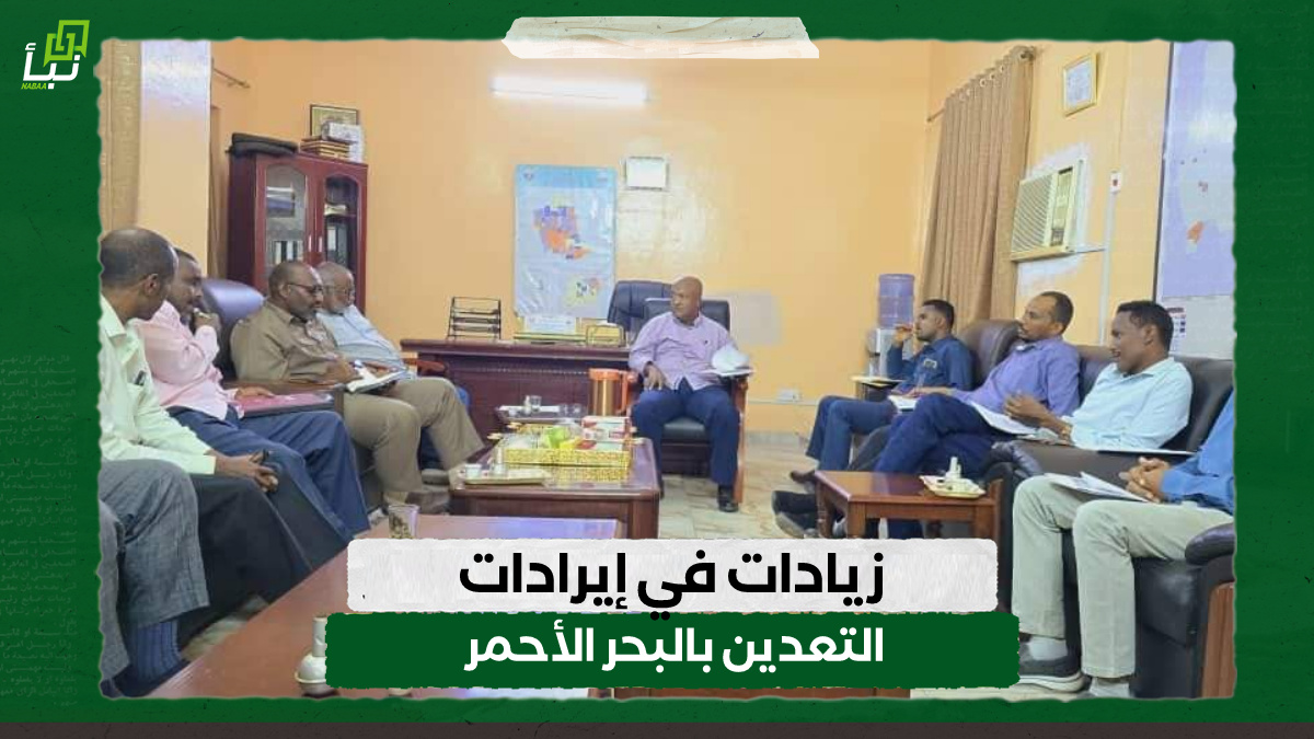 زيادات في إيرادات التعدين بالبحر الأحمر 10 زيادات في إيرادات التعدين بالبحر الأحمر