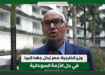 وزير الخارجية: مصر تبذل جهدا كبيرا في حل الأزمة السودانية 16 وزير الخارجية: مصر تبذل جهدا كبيرا في حل الأزمة السودانية