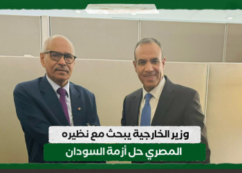 وزير الخارجية يبحث مع نظيره المصري حل أزمة السودان