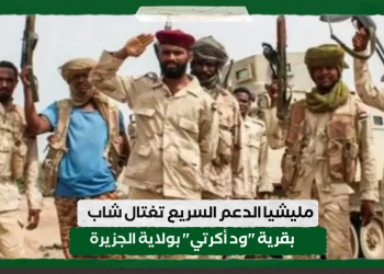 مليشيا الدعم السريع تغتال شاب بقرية “ود أكرتي” بولاية الجزيرة